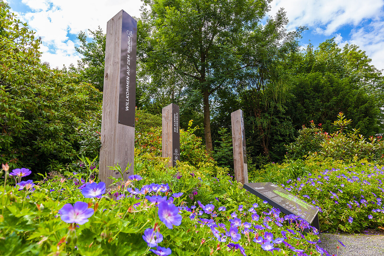 Herzlichen willkommen auf dem Hauptfriedhof in Mönchengladbach.
