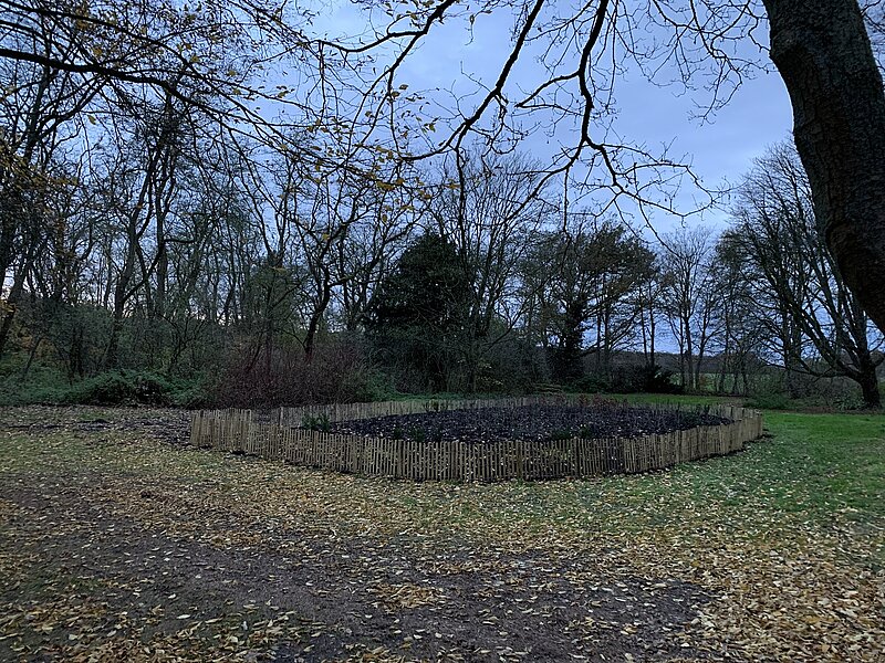 Wildes Wäldchen an der Hardter Waldstraße 164a
