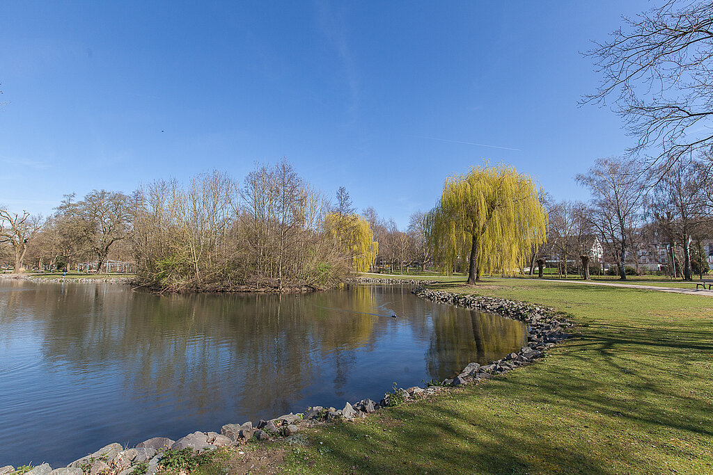 Der Bellermühle Park im März mit Blick auf den Weiher.