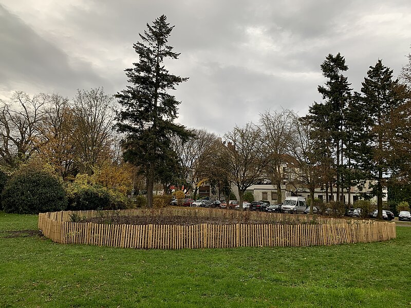Wildes Wäldchen an der Mülgaustraße 361