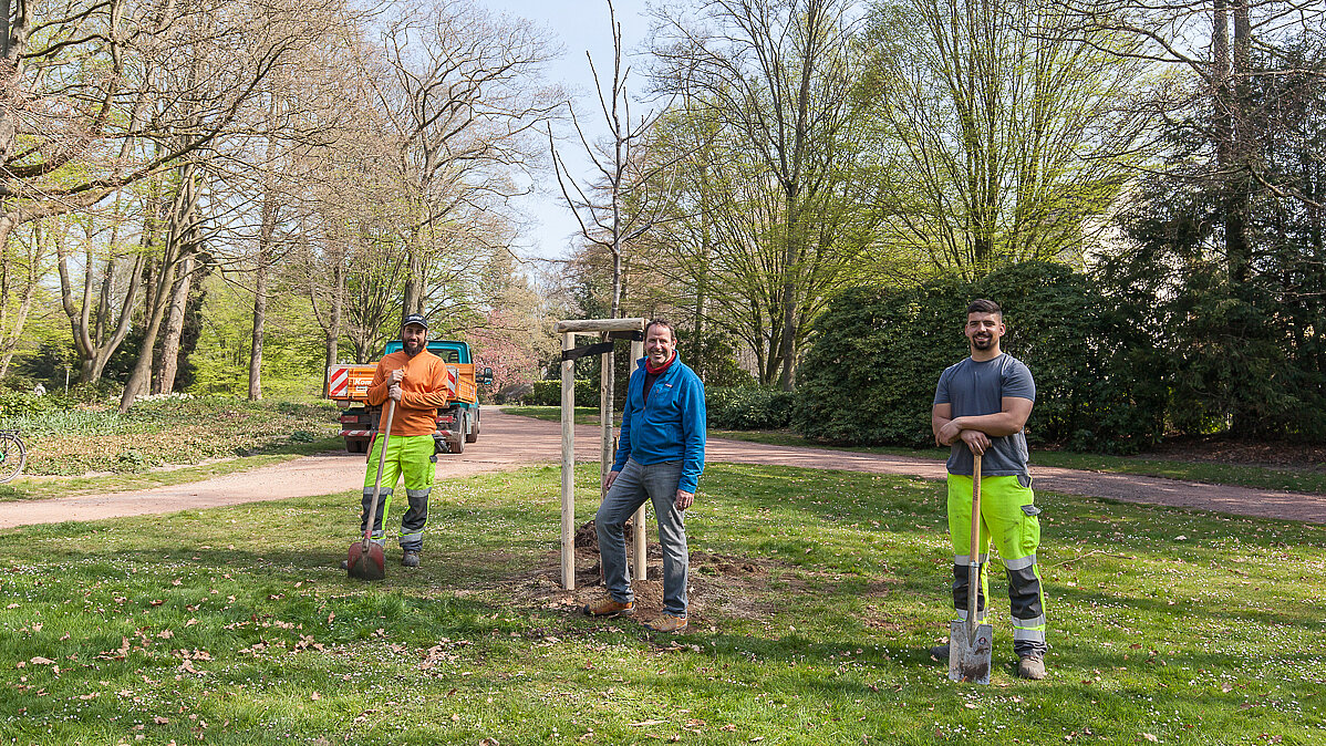 Zwei mags-Mitarbeiter mit Baumspender stehen neben im Schmölderpark neben gepflanzten Spendenbaum.