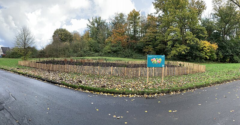 Wildes Wäldchen am Klosterhofweg 32