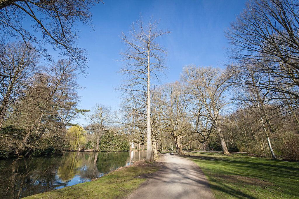 Der Volksgartenweiher im Frühjahr.